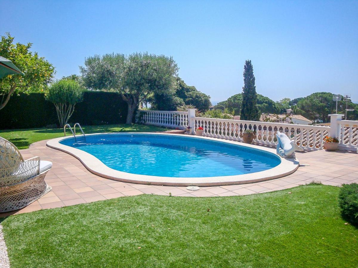 Club Villamar - Delfin